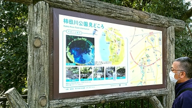 柿田川公園6