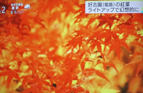 姫路城　好古園の紅葉