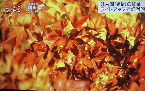 姫路城　好古園の紅葉