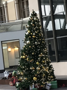 アイランドセンター駅のクリスマスツリー