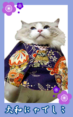 kimono30_teru.jpg
