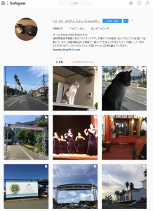 ナーレイアロハカウイカヴェキウさん(@na_lei_aloha_kau_ikawekiu) • Instagram写真と動画