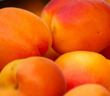 fruit_apricots_provence_vitamins-718841.jpg