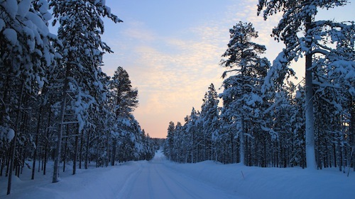 snowy-landscape-in-finland_800.jpg
