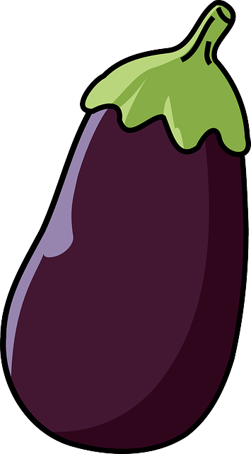 eggplant-309459_640.png