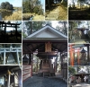 20220116厳島神社