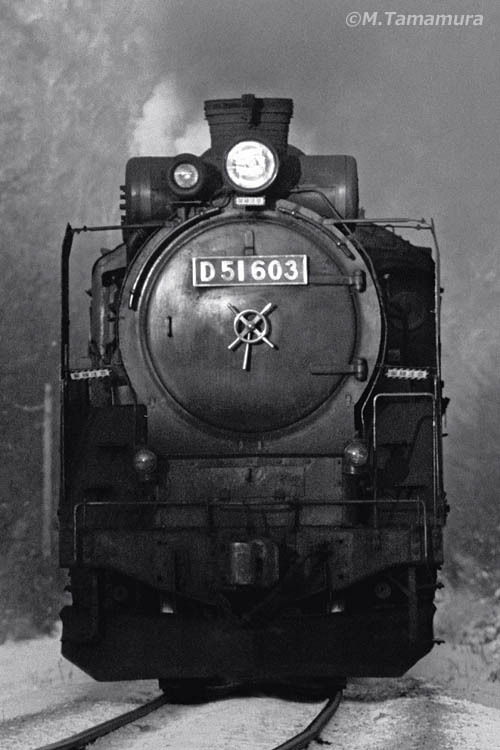 現役最期の蒸気機関車【D51603】 | 感動の蒸気機関車 Photo Blog