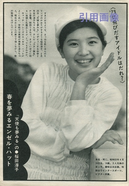 Back To Junko (1973 -） ～桜田淳子と70年代への回帰 その他