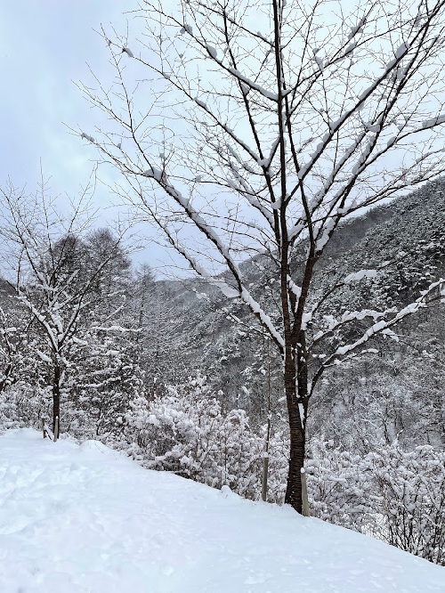 04_山の雪